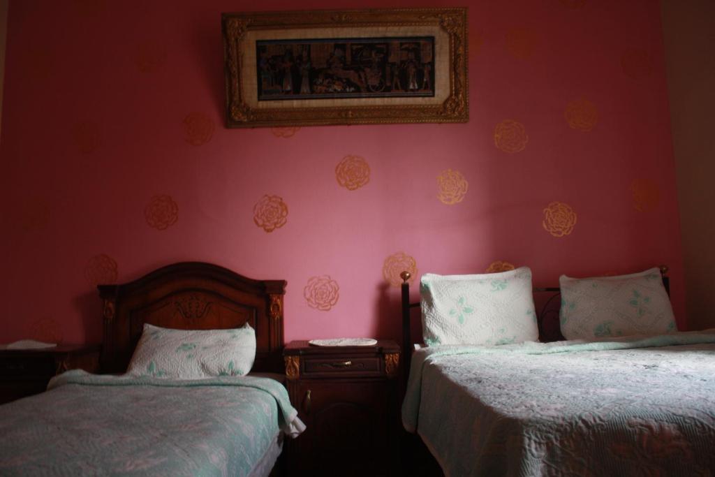 Hola Cairo Hostel Room photo